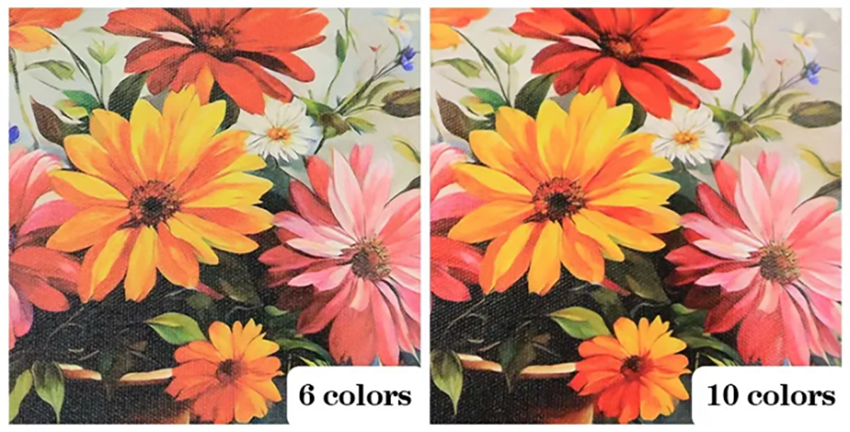 6color VS 10color