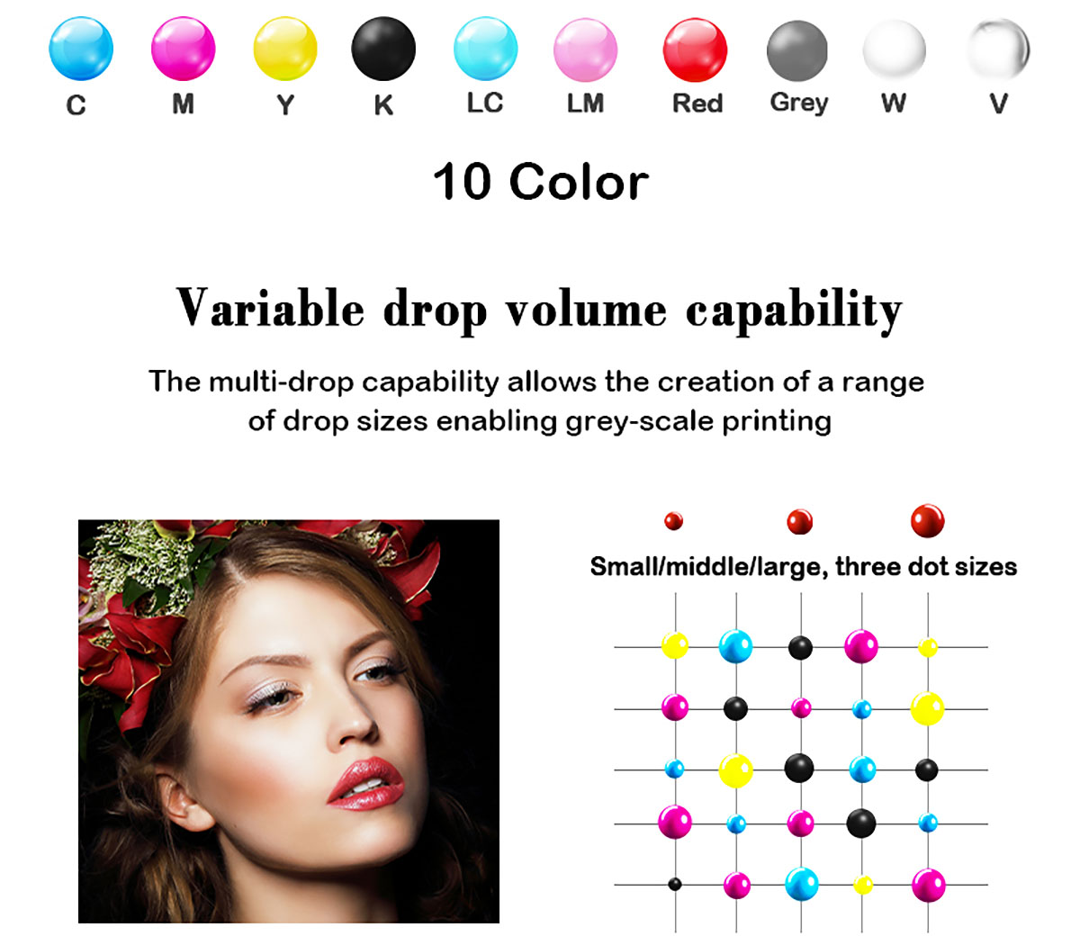 Google-10color